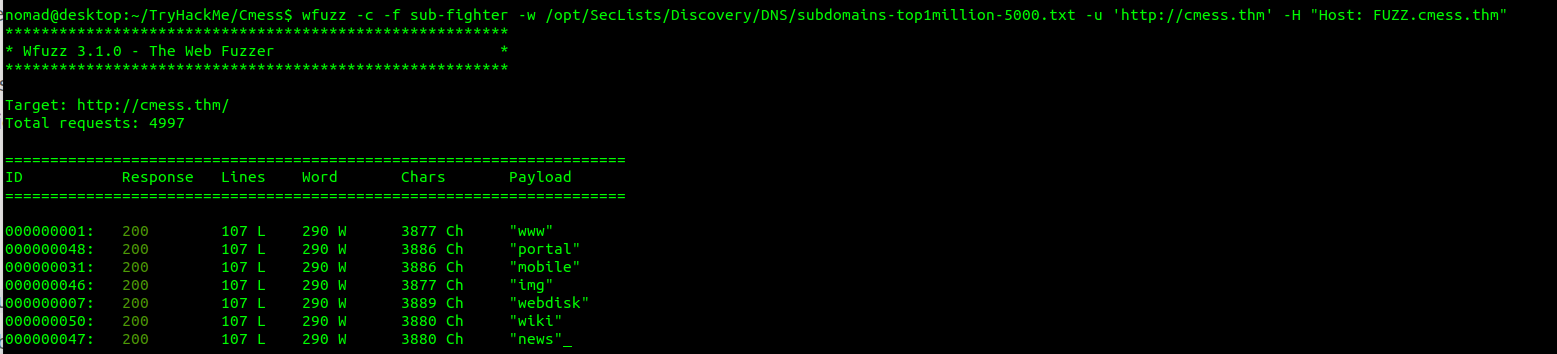wfuzz_scan