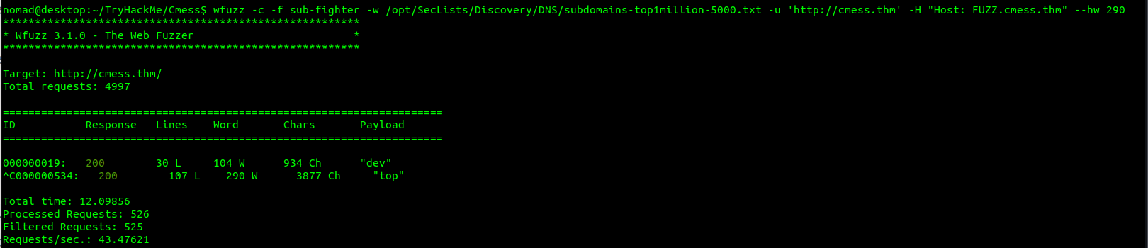 wfuzz_scan_filter